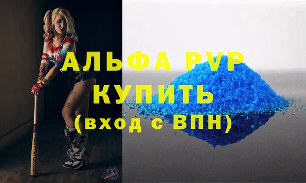 индика Богданович