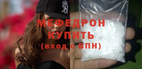 индика Богданович