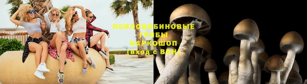 Альфа ПВП Богородицк