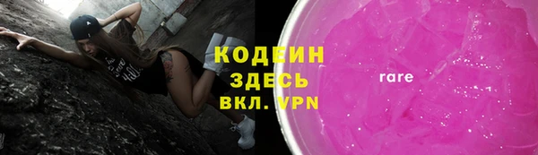 индика Богданович
