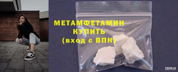 индика Богданович