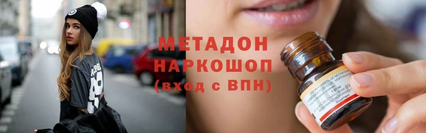 индика Богданович