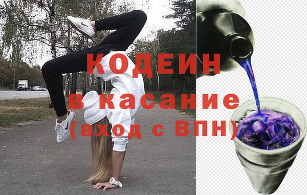 индика Богданович