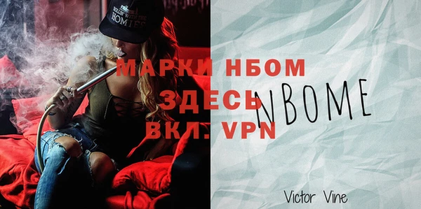 индика Богданович