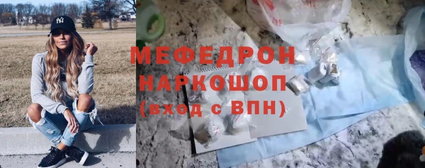 индика Богданович