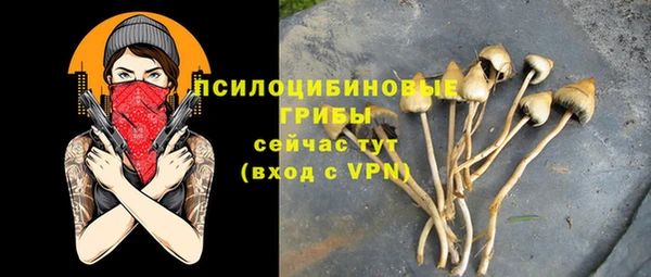 Альфа ПВП Богородицк