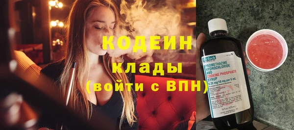 индика Богданович