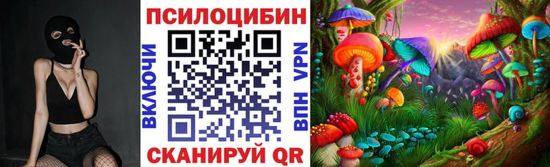 Галлюциногенные грибы GOLDEN TEACHER  наркошоп  Ростов 